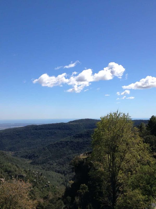 WhatsApp Image 2024-06-14 at 14.48.54 (1)